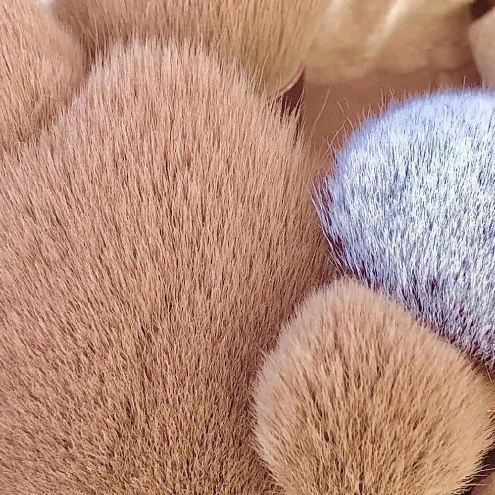 Soft Makeup Brush Set with Bag - 13PCS