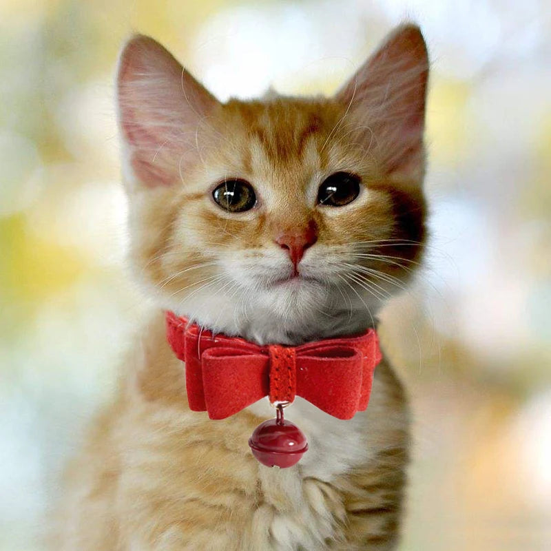 Bowknot Cat Collar