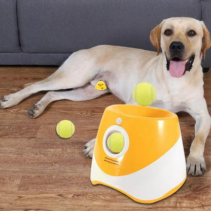 Automatic Dog Outdoor Ball Launcher