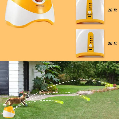 Automatic Dog Outdoor Ball Launcher