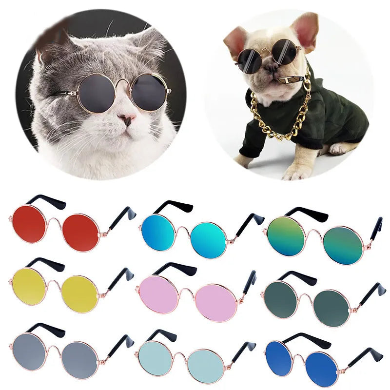 Dog Sunglasses